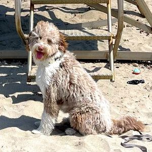 Meet your Posher, Charisse